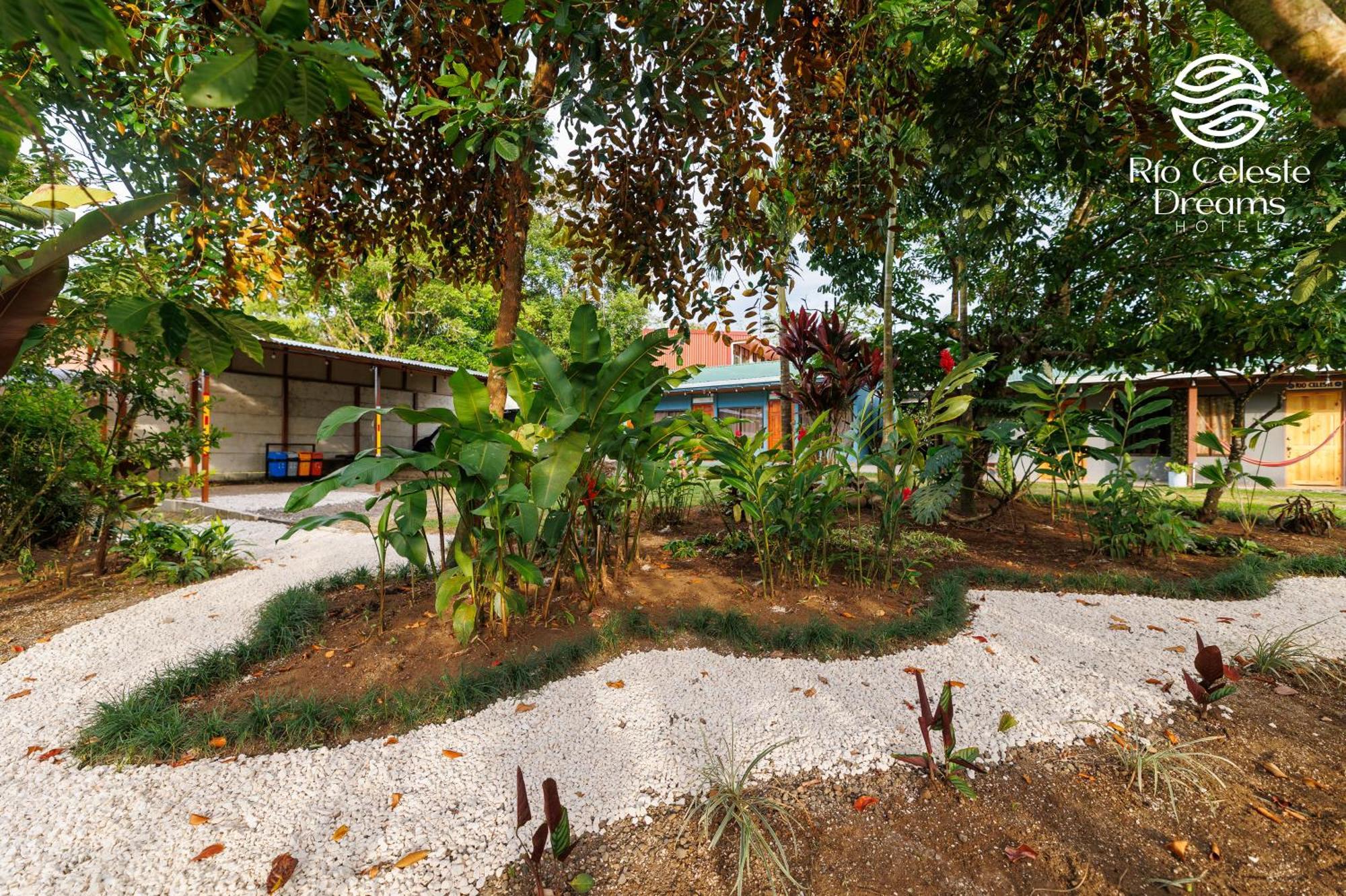 Rio Celeste Dreams Bijagua de Upala Exterior foto